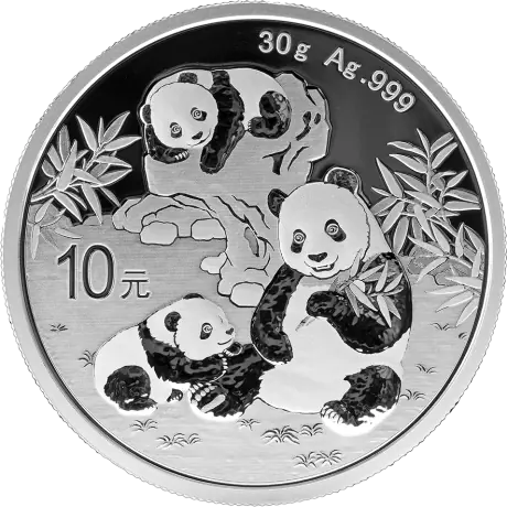 Stříbrná mince Panda 2026, 30 g
